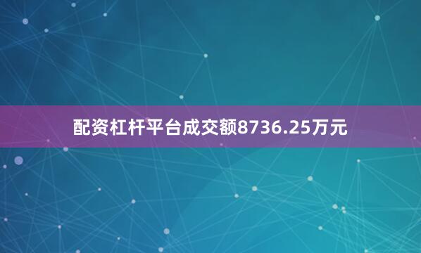 配资杠杆平台成交额8736.25万元