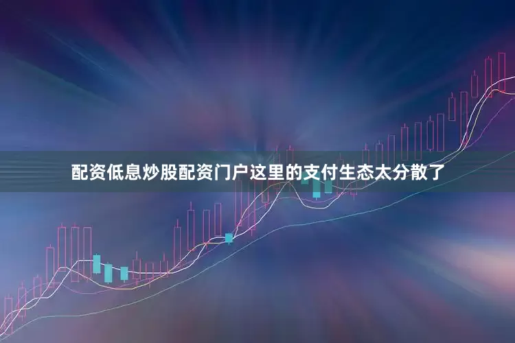 配资低息炒股配资门户这里的支付生态太分散了